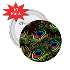 Peacock Feathers Color Plumage 2 25  Buttons (10 Pack)  by Celenk