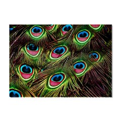 Peacock Feathers Color Plumage Crystal Sticker (a4)