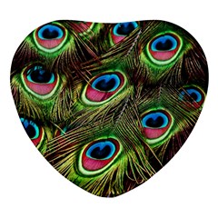 Peacock Feathers Color Plumage Heart Glass Fridge Magnet (4 Pack)