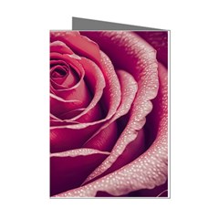 Beautiful Beauty Flower Bloom Mini Greeting Cards (pkg Of 8)