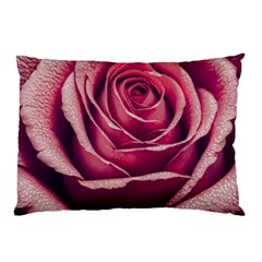 Beautiful Beauty Flower Bloom Pillow Case (two Sides)