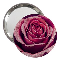 Beautiful Beauty Flower Bloom 3  Handbag Mirrors