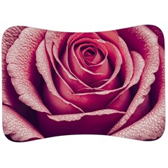 Beautiful Beauty Flower Bloom Velour Seat Head Rest Cushion