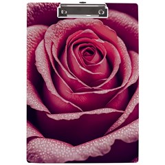 Beautiful Beauty Flower Bloom A4 Acrylic Clipboard