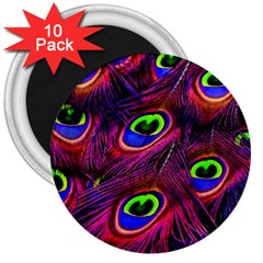 Peacock Feathers Color Plumage 3  Magnets (10 Pack)  by Celenk