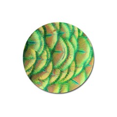 Beautiful-peacock Magnet 3  (Round)