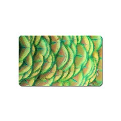 Beautiful-peacock Magnet (Name Card)