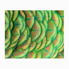 Beautiful-peacock Small Glasses Cloth