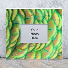 Beautiful-peacock White Wall Photo Frame 5  x 7 