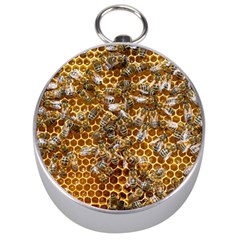 Honey Bee Bees Insect Silver Compasses by Ravend