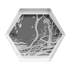 Tree Nature Landscape Forest Hexagon Wood Jewelry Box by Ravend