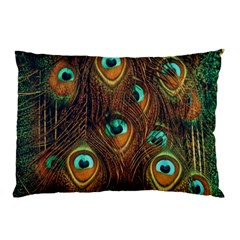 Peacock Feathers Pillow Case (two Sides) by Ravend