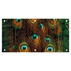 Peacock Feathers Banner And Sign 6  X 3  by Ravend