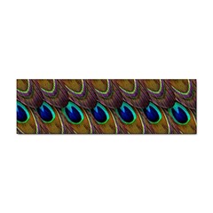 Peacock-feathers-bird-plumage Sticker Bumper (100 Pack)