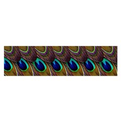 Peacock-feathers-bird-plumage Oblong Satin Scarf (16  X 60 )