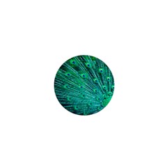 Green And Blue Peafowl Peacock Animal Color Brightly Colored 1  Mini Buttons