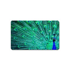 Green And Blue Peafowl Peacock Animal Color Brightly Colored Magnet (Name Card)