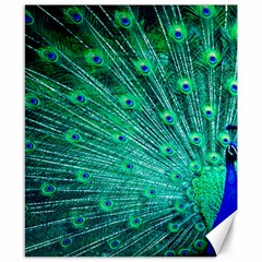 Green And Blue Peafowl Peacock Animal Color Brightly Colored Canvas 8  x 10 