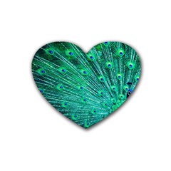 Green And Blue Peafowl Peacock Animal Color Brightly Colored Rubber Coaster (Heart)
