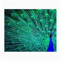 Green And Blue Peafowl Peacock Animal Color Brightly Colored Small Glasses Cloth (2 Sides)