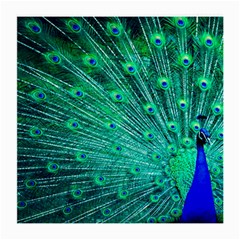 Green And Blue Peafowl Peacock Animal Color Brightly Colored Medium Glasses Cloth