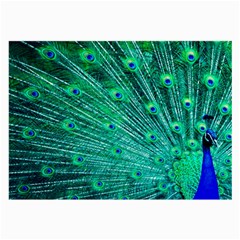 Green And Blue Peafowl Peacock Animal Color Brightly Colored Large Glasses Cloth by uniart180623