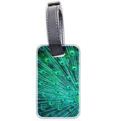 Green And Blue Peafowl Peacock Animal Color Brightly Colored Luggage Tag (two Sides) by uniart180623