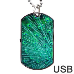 Green And Blue Peafowl Peacock Animal Color Brightly Colored Dog Tag Usb Flash (two Sides) by uniart180623