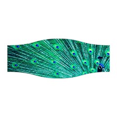 Green And Blue Peafowl Peacock Animal Color Brightly Colored Stretchable Headband