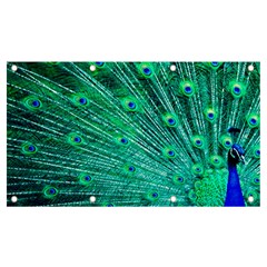 Green And Blue Peafowl Peacock Animal Color Brightly Colored Banner and Sign 7  x 4 