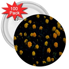 Bloomed Yellow Petaled Flower Plants 3  Buttons (100 Pack) 