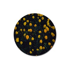 Bloomed Yellow Petaled Flower Plants Magnet 3  (round)