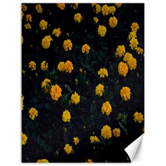 Bloomed Yellow Petaled Flower Plants Canvas 12  X 16  by artworkshop