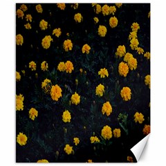 Bloomed Yellow Petaled Flower Plants Canvas 8  X 10  by artworkshop