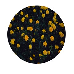 Bloomed Yellow Petaled Flower Plants Mini Round Pill Box (pack Of 5) by artworkshop