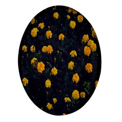 Bloomed Yellow Petaled Flower Plants Oval Glass Fridge Magnet (4 Pack) by artworkshop