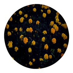 Bloomed Yellow Petaled Flower Plants Round Glass Fridge Magnet (4 Pack) by artworkshop