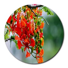 Gathering Sping Flowers Wallpapers Round Mousepad by artworkshop