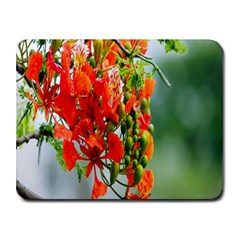 Gathering Sping Flowers Wallpapers Small Mousepad by artworkshop