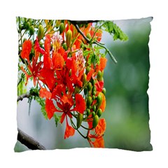 Gathering Sping Flowers Wallpapers Standard Cushion Case (two Sides)