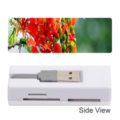 Gathering Sping Flowers Wallpapers Memory Card Reader (stick) by artworkshop