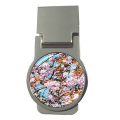 Nature Beautiful Rainbow Money Clips (round)  by artworkshop