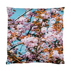 Nature Beautiful Rainbow Standard Cushion Case (two Sides)