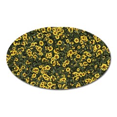 Sunflowers Yellow Flowers Flowers Digital Drawing Oval Magnet
