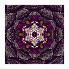 Rosette Kaleidoscope Mosaic Abstract Background Art Medium Glasses Cloth (2 Sides)