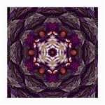 Rosette Kaleidoscope Mosaic Abstract Background Art Medium Glasses Cloth (2 Sides) Back
