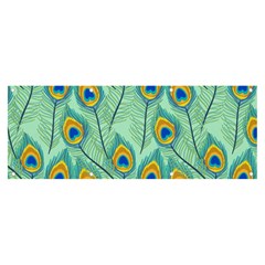 Lovely Peacock Feather Pattern With Flat Design Banner And Sign 8  X 3  by Simbadda