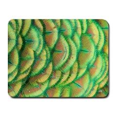 Beautiful Peacock Small Mousepad by Simbadda