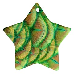 Beautiful Peacock Ornament (star) by Simbadda