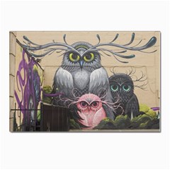 Graffiti Owl Design Postcard 4 x 6  (Pkg of 10)